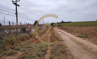 Arriendo Terreno entrada Pan de Azucar, Coquimbo