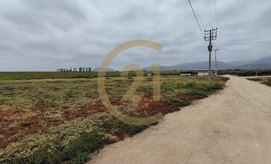 Arriendo Terreno entrada Pan de Azucar, Coquimbo