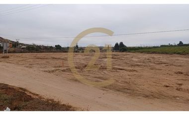 Arriendo Terreno entrada Pan de Azucar, Coquimbo