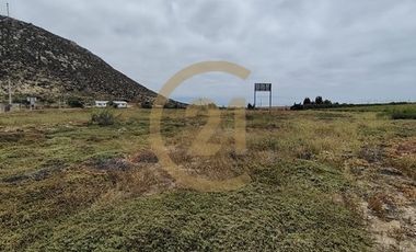 Arriendo Terreno entrada Pan de Azucar, Coquimbo