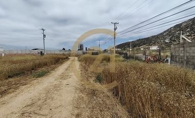 Arriendo Terreno entrada Pan de Azucar, Coquimbo