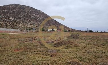 Arriendo Terreno entrada Pan de Azucar, Coquimbo