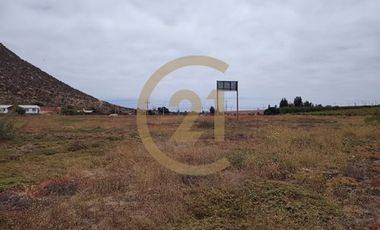 Arriendo Terreno entrada Pan de Azucar, Coquimbo