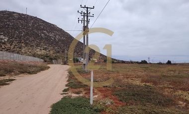 Arriendo Terreno entrada Pan de Azucar, Coquimbo