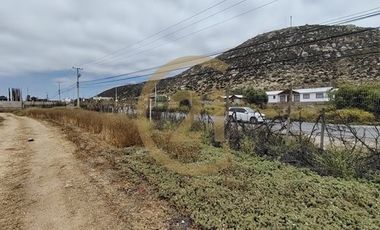 Arriendo Terreno entrada Pan de Azucar, Coquimbo