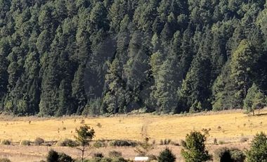 Finca en venta en Valle de Bravo