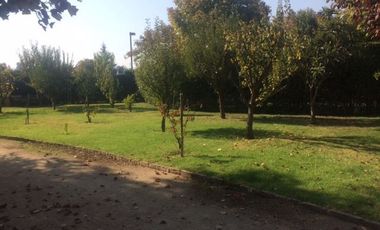 Casa en Arriendo en Polo Mahuida