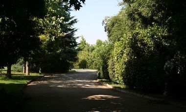 Casa en Arriendo en Polo Mahuida