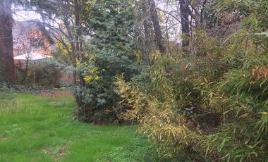 Casa en Arriendo en Dominicos antiguo / Francisco Bulnes Correa / Camino Las Flores