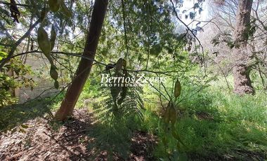 Sitio en Arriendo en Dominicos antiguo / Francisco Bulnes Correa / Camino Las Flores