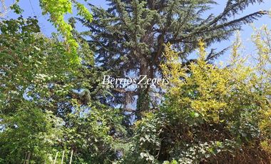 Sitio en Arriendo en Dominicos antiguo / Francisco Bulnes Correa / Camino Las Flores