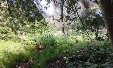 Sitio en Arriendo en Dominicos antiguo / Francisco Bulnes Correa / Camino Las Flores