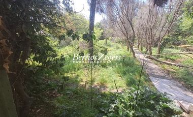 Sitio en Arriendo en Dominicos antiguo / Francisco Bulnes Correa / Camino Las Flores