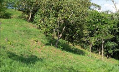 Maat vende Finca  Villeta Salitre Negro 12.000mtrs $1.050 Millones