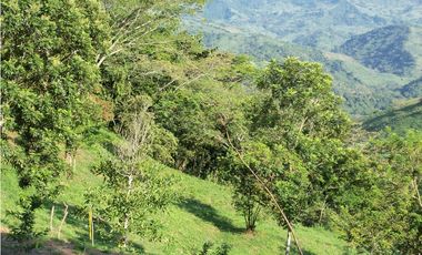 Maat vende Finca  Villeta Salitre Negro 12.000mtrs $1.050 Millones