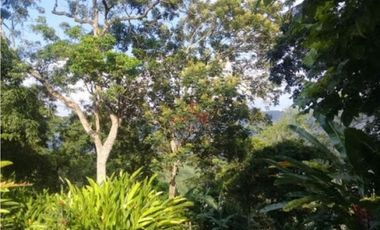 Maat vende Finca  Villeta Salitre Negro 12.000mtrs $1.050 Millones