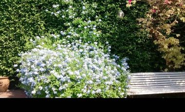 Chalet en Venta Ramos Mejia / La Matanza (A004 1907)