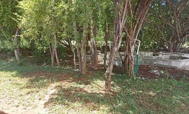 Entrega inmediata| UNA PLANTA| 3 recámaras| Zona la ceiba