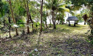 Se vende terreno en Bacalar con frente de laguna.