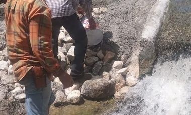 RANCHO GANADERO EN TAMAULIPAS