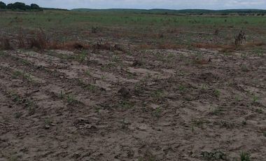 RANCHO GANADERO EN TAMAULIPAS