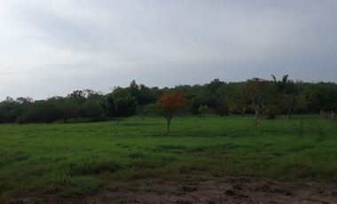 RANCHO GANADERO EN TAMAULIPAS