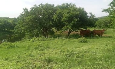 RANCHO GANADERO EN TAMAULIPAS