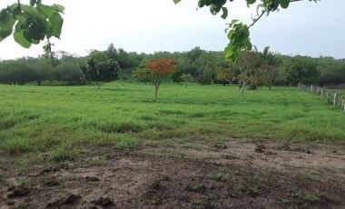 RANCHO GANADERO EN TAMAULIPAS