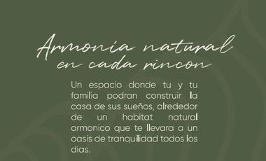 Terreno Residencial en el Sur  Fraccionamiento Monteza