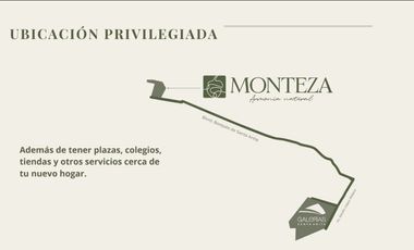 Terreno Residencial en el Sur  Fraccionamiento Monteza