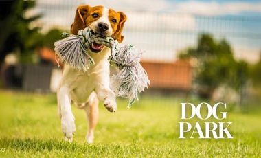 Terreno Residencial en el Sur  Fraccionamiento Monteza