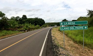 TERRENO COMERCIAL VIA INTERAMERICANA / LA MESA DE VERAGUAS / 15000m2