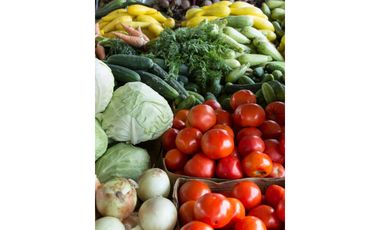 VENTA  Minimarket/Verdularia, Linares