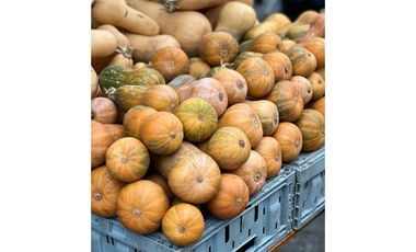 VENTA  Minimarket/Verdularia, Linares