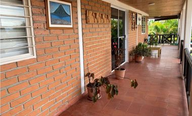 Finca productiva en venta sector Filandia