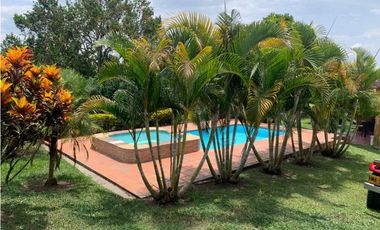 Finca productiva en venta sector Filandia