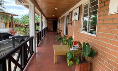 Finca productiva en venta sector Filandia