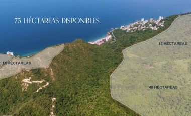 TERRENOS EN VENTA EN PUERTO VALLARTA