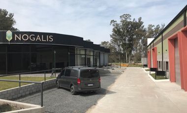 Venta depósito multiuso en Pavón-Exaltación de la Cruz