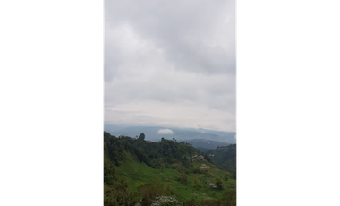 ARRIENDO APARTAMENTO EN LA FRANCIA, MANIZALES CALDAS