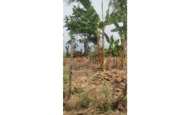 VENDO LOTE EN ROZO, PALMIRA