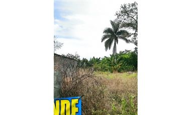 VENDO LOTE EN ROZO, PALMIRA