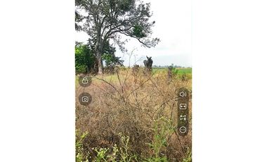VENDO LOTE EN ROZO, PALMIRA