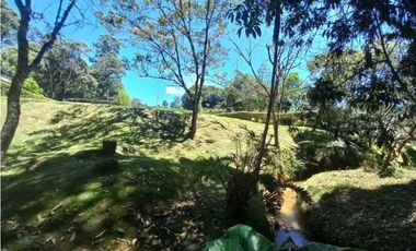 LOTE EN VENTA EL RETIRO ANTIOQUIA, SECTOR PANTANILLO