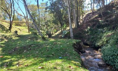 LOTE EN VENTA EL RETIRO ANTIOQUIA, SECTOR PANTANILLO