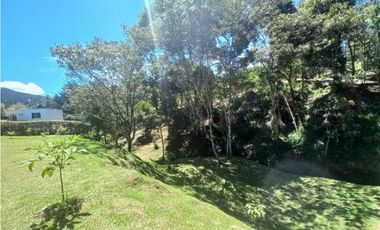 LOTE EN VENTA EL RETIRO ANTIOQUIA, SECTOR PANTANILLO
