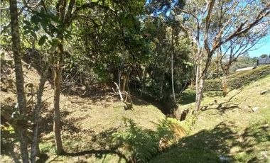 LOTE EN VENTA EL RETIRO ANTIOQUIA, SECTOR PANTANILLO