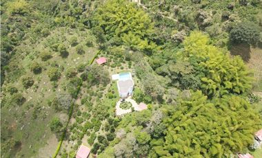 Finca de 3.5 cuadras en venta sector Buenavista Quindío