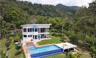 Finca de 3.5 cuadras en venta sector Buenavista Quindío