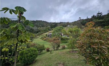 FINCA EN VENTA LA CEJA ANTIOQUIA, SECTOR ALTOS DE EL TAMBO